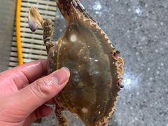 -蓝珊甄选海鲜自助·火锅大排档(近阿那亚店)