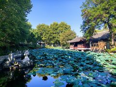 -范蠡湖公园
