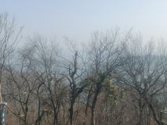 -南京老山国家森林公园