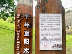 -蔡家宅