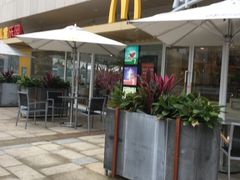 -麦当劳(塔园路店)