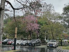 -广东温泉宾馆