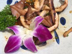 -酒久自助料理(佳兆业店)