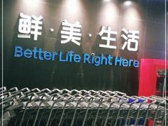 -盒马鲜生(曜一城店)