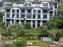 -盛得农家美食·无花果浸鸡·古法烧鸡·竹筒饭(白水寨森林海店)