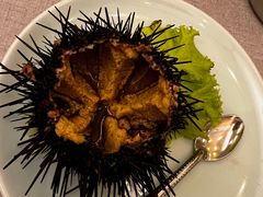 生吃海胆-渔家颂歌渔家味道(青石路店)