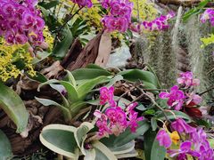 -北京植物园-展览温室