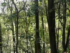 -南山植物园