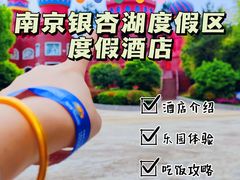 -南京银杏湖乐园