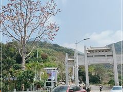 -梧桐山风景名胜区