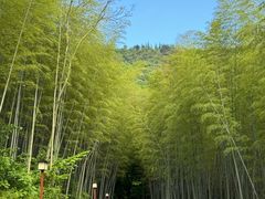 -穹窿山景区