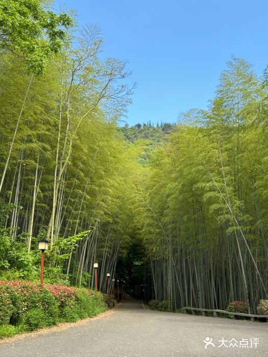 穹窿山景区图片