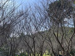 -广州市白云山风景名胜区