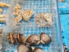 -映像烟台·海鲜·地道鲁菜(黄山路店)