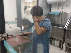 -安安宠物医院(情缘分院)