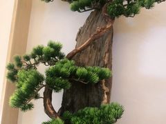 -茶小点(丽悦新天店)