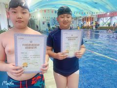 -鲨鱼游泳培训中心