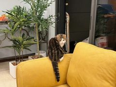 -逸桂禾面馆