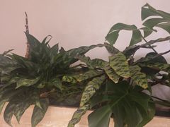 -志明眷村·台式融合菜·宵夜