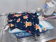 -荔康动物医院(康王北路店)