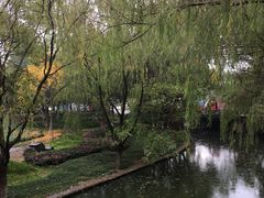 -阮氏酒家(柯桥店)