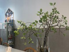 -小豆海棠(嘉兴路店)