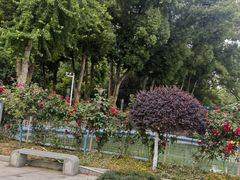 -水果湖儿童公园