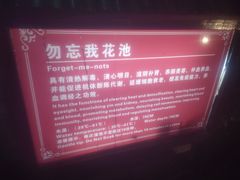 -森波拉火山温泉