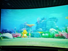 -海合安成都极地海洋公园