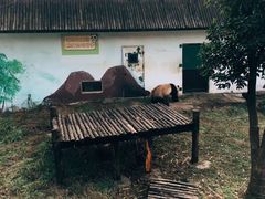 -无锡动物园·太湖欢乐园