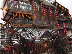 -印象鲵宴·张家界地标美食名片(溪布街店)