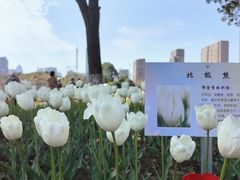 -院士公园