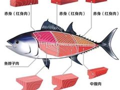 -小广寒电影艺术餐厅(小广寒经三路店)