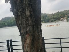 -白云山索道-售票处