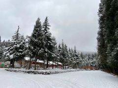 -武陵山森林公园
