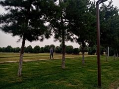 -汉长安城未央宫国家考古遗址公园