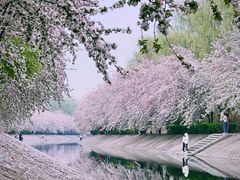 -海棠花溪(元大都城垣遗址公园)