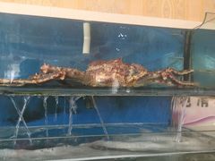 -春华海鲜城(广场西苑店)