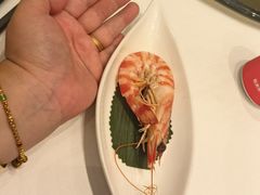 -高佳庄·舟山海鲜(海景旗舰店)