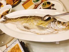太湖野生大白条-粥之源豫宴(正方元店)