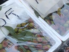 -南京众彩农副产品配送有限公司
