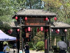 -合肥滨湖国家森林公园