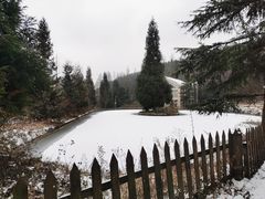 -武陵山森林公园