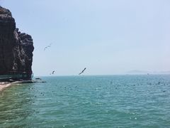-海驴岛(荣成市)