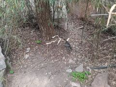-崂山九水游览区