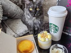 -好利来(抚顺万达店)