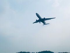 -空港花田景区