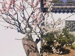 -无锡梅园公园