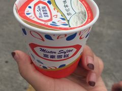 -富豪雪糕车流动点(尖沙咀店)