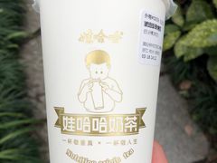 -娃哈哈·奶茶(武林店)